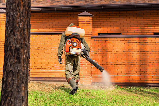 Bed Bug Clearance Verification and Documentation in Prairie Village